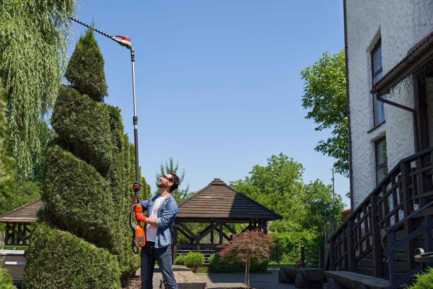 Tree Health Inspection in Maggie Valley, NC